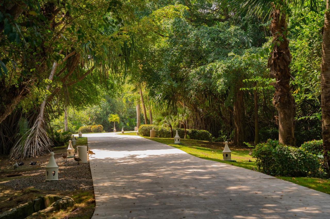 คาริบ ดีลักซ์ ปรินเซส - ออล อินครูซีฟ Hotel ปุนตากานา ภายนอก รูปภาพ San Anton Park